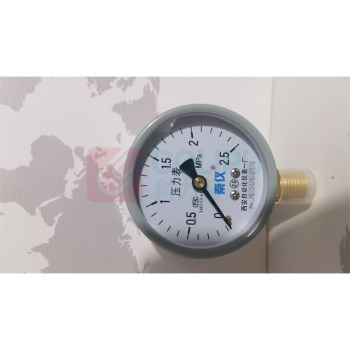 秦仪 压力表(不含检测报告) Y-100 0-2.5mpa1.6级
