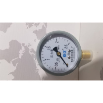 秦仪 压力表(不含检测报告) Y-100 0-2.5mpa1.6级