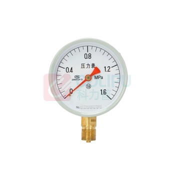 润宏工品 压力表(不含检测报告) Y-100 0-1.6MPa 1.6级