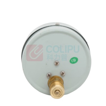 秦仪 压力表 0-1mpa 轴向直径60mm