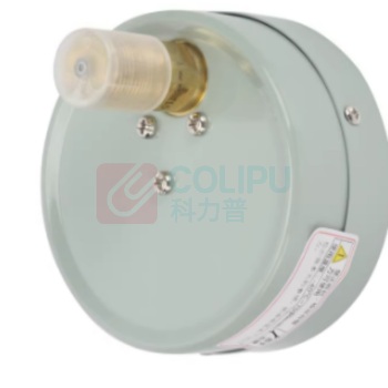 秦仪 压力表 0-1mpa 轴向直径60mm