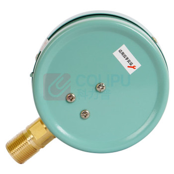 匡建仪表 压力表 Y-100 直径100mm, M20*1.5螺纹, 径向安装, 0-1.6mpa