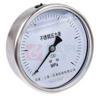 匡建仪表 不锈钢耐震压力表 YTN-100BFZ 0-2.5MPa 轴向安装 不带面板 防腐蚀 耐高温