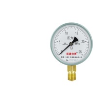 匡建仪表 压力表 Y-100 直径100mm M20*1.5螺纹 径向安装 0-25mpa