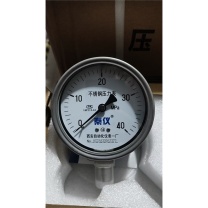 秦仪 不锈钢压力表 Y-100 径向0-40MPa精度等级1.6 M20x1.5(不含检测报告)