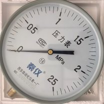 秦仪 压力表 Y250 M20x 1.5 径向0-2.5MPa 不含检测费用