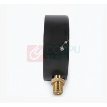 科越莱 压力表 YB-150B (-1-0)MPa 0.4级 不含检测费用