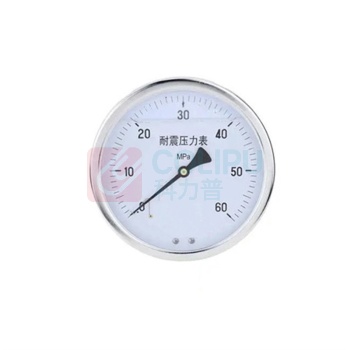 易宇博通1999 耐震压力表 YN-60 表经60mm,量程6mpa,精度2.5级,轴向后方安装 不含检测费