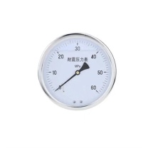 易宇博通1999 耐震压力表 YN-60 表经60mm,量程6mpa,精度2.5级,轴向后方安装 不含检测费