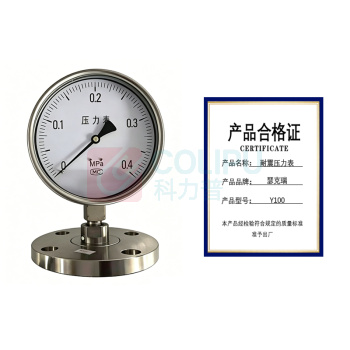 瑟克瑞 耐震压力表 Y100
