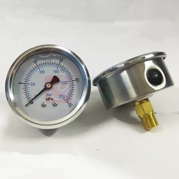 耐博 液压表 YTN-60 PT1/4