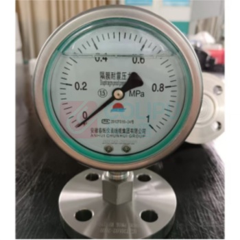 必亮春辉 耐震隔膜压力表 Y100 304 0-1.0MPa PN16 DN25 径向 304+PTFE 1.6级,直角