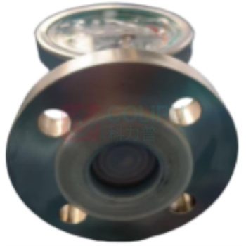 必亮春辉 耐震隔膜压力表 Y100 304 0-1.0MPa PN16 DN25 径向 304+PTFE 1.6级,直角