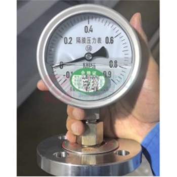 必亮春辉 耐震隔膜压力表 Y100 316L -0.1-0.9MPa PN25 DN25 RF 径向 316L+PTFE 1.6级,直角