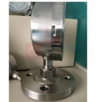 必亮春辉 耐震隔膜压力表 Y100 316L -0.1-0.9MPa PN25 DN25 RF 径向 316L+PTFE 1.6级