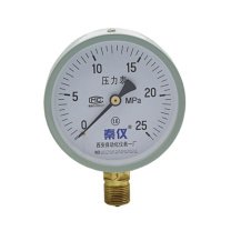 秦仪 氧压力表 0-25MPa 精度等级2.5禁油表盘直径Փ60 
