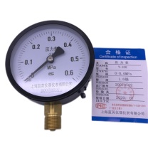 蓝英 压力表 Y-100 M20*1.5 0-1.6MPa 1.5级/1.6级 径向