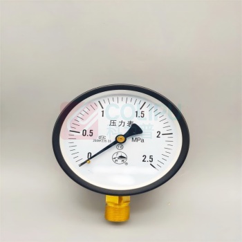 宇光 乙炔压力表 Y100 0-1.0MPa/2.5  不含检测报告
