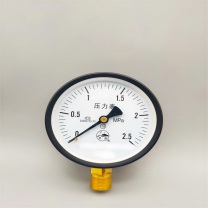宇光 乙炔压力表 Y100 0-1.0MPa/2.5  不含检测报告