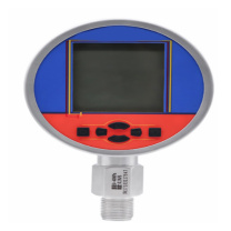 博林豪特 数字压力表 YL-806-70M-5-P7-MS-T1 