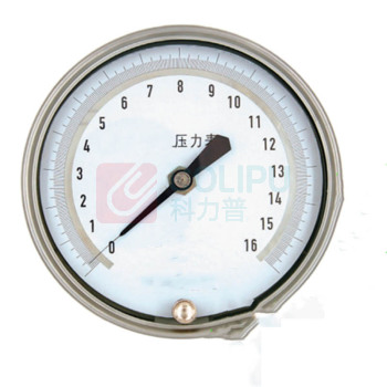 OEIN 压力表 Y-100 0-1 OMPa φ100 (本色)