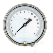 OEIN 压力表 Y-100 0-1 OMPa φ100 (本色)