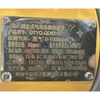 中安探 气体检测器可燃一氧化碳硫化氢报警仪器检测报警器 GTYQ-QD6310 【无铅氧5年长寿命】 162*168*68mm