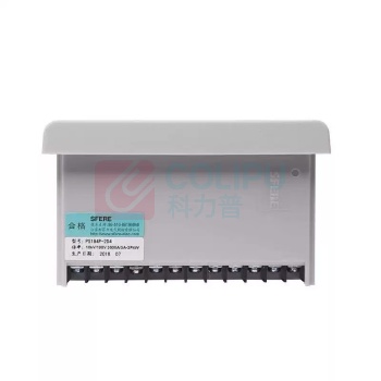 斯菲尔 数显表 PS194P-2D4T