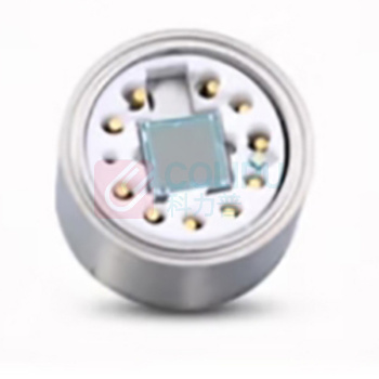 星仪 通用型温度变送器 CWDZ11A-M-06-V10-17-L0-G2 (带插头及连接线M12-W-102个)