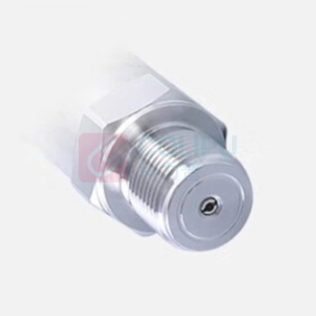 星仪 通用型温度变送器 CWDZ11A-M-06-V10-17-L0-G2 (带插头及连接线M12-W-102个)