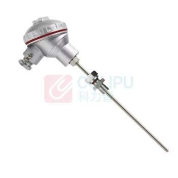 南派克 铠装热电偶(不含检测) WRKK-103PC K分度φ6/L=1100mm/100-1100℃/I级/带磁头/材质3030