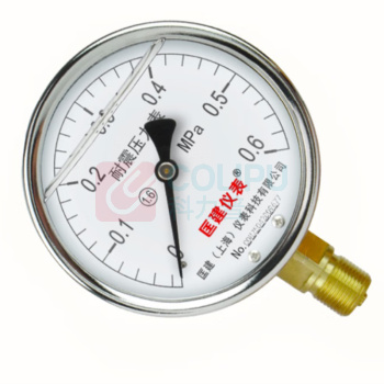 匡建仪表 耐震压力表 YTN-100 0-0.6MPa 表盘10cm