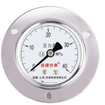 匡建仪表 压力表 Y-150ZT 1.6级 M20*1.5 ,0-40Mpa 不含检测费