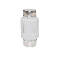 中宇 陶瓷熔断器 RL1-15/10A 13*34 