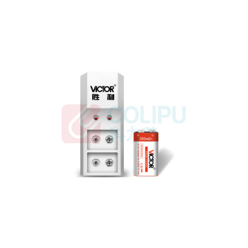 胜利仪器(VICTOR) 充电电池套装 9v