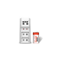 胜利仪器(VICTOR) 充电电池套装 9v