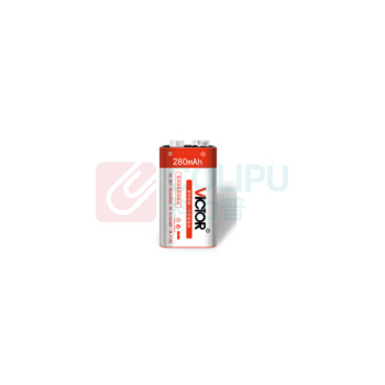 胜利仪器(VICTOR) 充电电池套装 9v