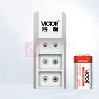 胜利仪器(VICTOR) 充电电池套装 9v