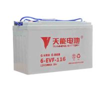 天能 洗地机专用电池 6-EVF-116 博硕A06洗地机专用电池 工业吸尘器洗地机洗地车扫地配件