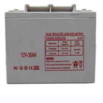 维京熊 蓄电池 WJX-9 12V/38AH 
