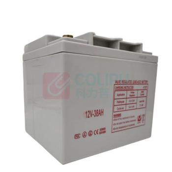 维京熊 蓄电池 WJX-9 12V/38AH 