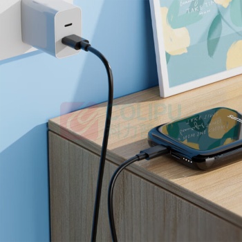飞利浦 PHILIPS 充电宝自带线超薄 DLP2256 10000毫安 (黑色)