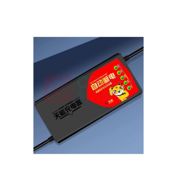 天能 充电器 60V