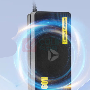 雅迪 电动车充电器 DMQS6030-01 60V20Ah三圆头