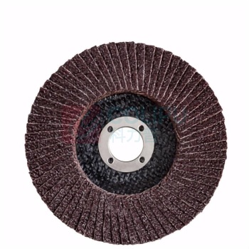 博世 BOSCH 实用型千叶片 180mm 60目 煅烧刚玉 2608601701