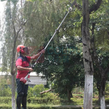 TEDE 高枝油锯 QSQ-5640 功率:0.7kw/6500r/min