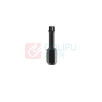 百塔 梅花星型批头 EC863TX0010 T20 1/4英寸 六方 双头