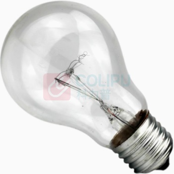 大工象 白炽灯 220V 60W