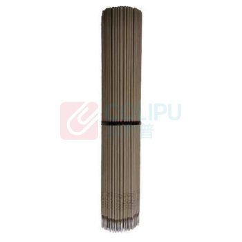 大桥 电焊条 XMSJ-10021561129003 J422/3.2mm 