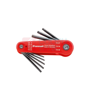 Format TORX花型内六角套装 58770010 8pcs